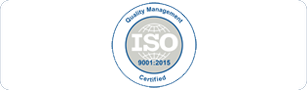 international security management