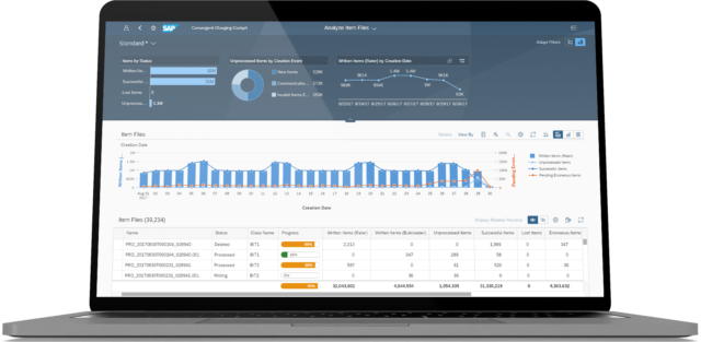 https://geeksoft.dialurban.in/wp-content/uploads/2023/08/sap-brim-640x313.png
